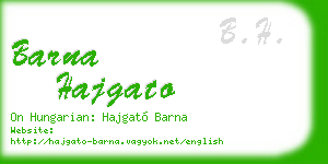 barna hajgato business card